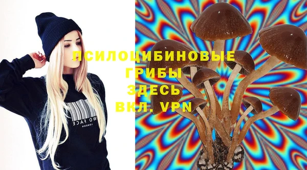 экстази Арсеньев
